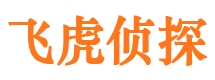 高坪侦探公司